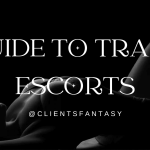 A professional model in lingerie posing for a photoshoot, representing the artistry and sensuality explored in our comprehensive guide to trans escorts.